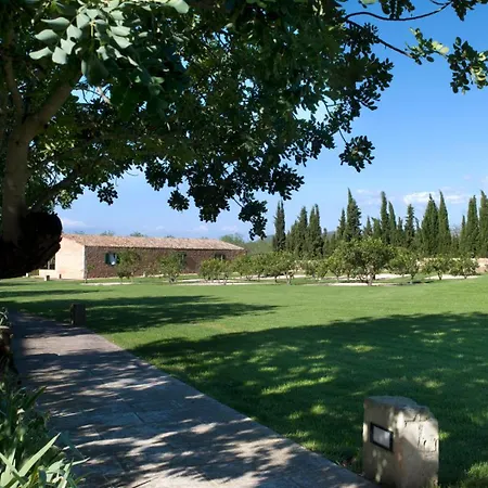 Son Bernadinet-2